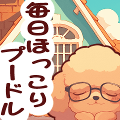 【敬語】メガネが似合う・ほっこりプードル