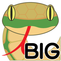 緑ヘビの日常で使えるBigなスタンプ