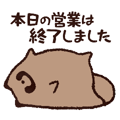 ふくよかなたぬき 連絡