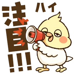 オカメインコ●´∀`●No.03