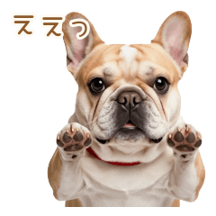 全力顔芸★もちもちフレブルの日常