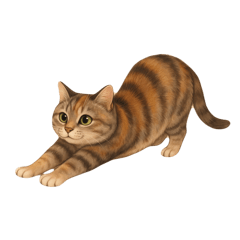 ネコタのスタンプ　26年春