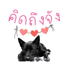 lucky so cute and life style