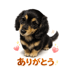 海凪ちゃんの日常