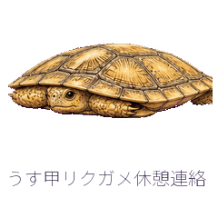 うす甲リクガメ休憩連絡
