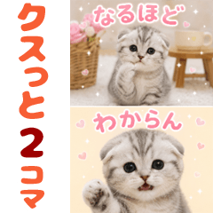 とびだす クスっと2コマ★にゃんこ ねこ 猫