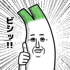 毎日使えるネギ
