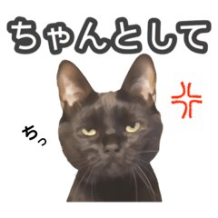 よく使う(？)リアクション