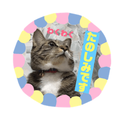 みる姐さんの敬語スタンプ♪