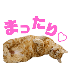 大好き猫にゃん②