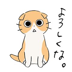 ながめるねこ