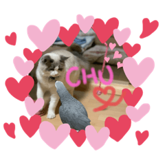 まりもちゃんとぽんたくん