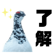 雷鳥（ライチョウ）好きのためのスタンプ