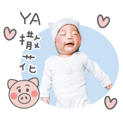 翔翔が来ています！