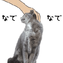 日常にゃんこ 9