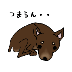 ミニピンのエディ君