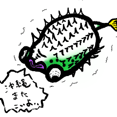 いつかのフグ。