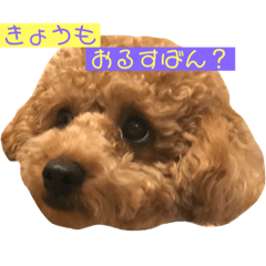 世界一かわいいリロくん