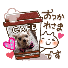 ヨーキー　チョコのスタンプ