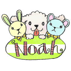 ふわもこ犬　Noah（ノア）part3