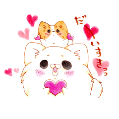 仲良しわんこ　こゆきと茶々【日常会話編】