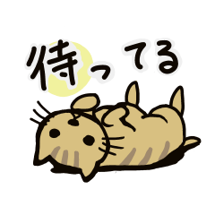 ねこ、時々業務連絡