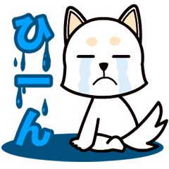 私は申し訳ありませんと悲しい謝罪です