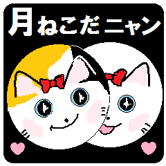 シリーズ５おきらくな猫の月だニャン。