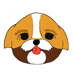 シーズー犬「セナ」かわいいぐうたら生活