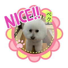 dock &cat &わたし