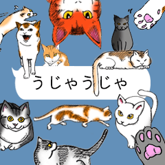 吹き出しがねこまみれ(挨拶・日常会話編)