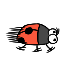 Ladybugs