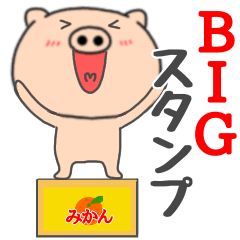毎日使える　ブタのぶたまる17