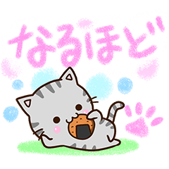 おちゃめなアメショ４