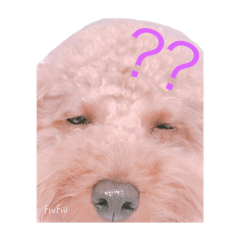 癒されるチョビくん