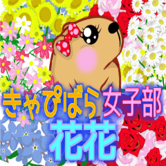 きゃぴばら女子部 花花