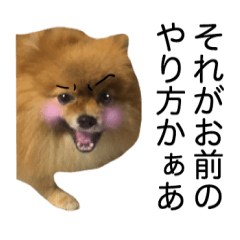 いぬのラス蔵くん〜写真スタンプ1〜