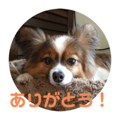 鈴木ななちゃんです