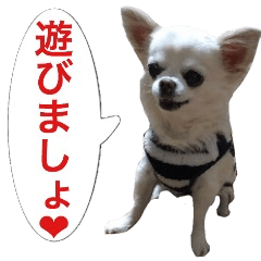 サンキューおっさんとゆかいな仲間達 19