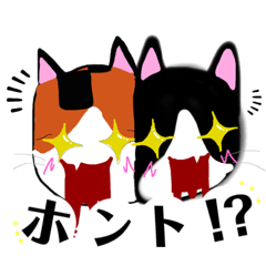 ピノポンスタンプだニャン