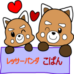 レッサーパンダ こぱん