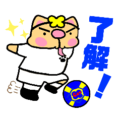 サッカー★かしわ選手★代表希望❣