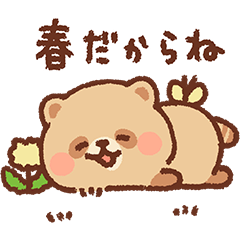 もちたぬき3 春!