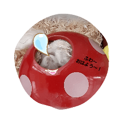 ハムスタースタンプ　　日常で使える！