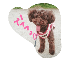 グーたんとくまたん②