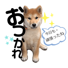 はるろんスタンプ