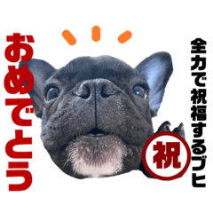 愛ブヒのリアクションスタンプ