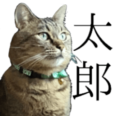 太郎でございます。