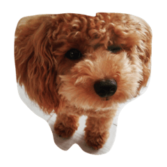 バンビとゆかいな仲間たち