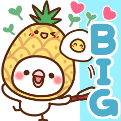 毎日しろちゃん18♥BIG